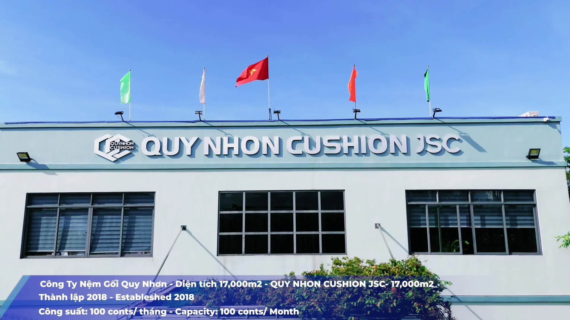 Khung hình từ video nhà máy cushion