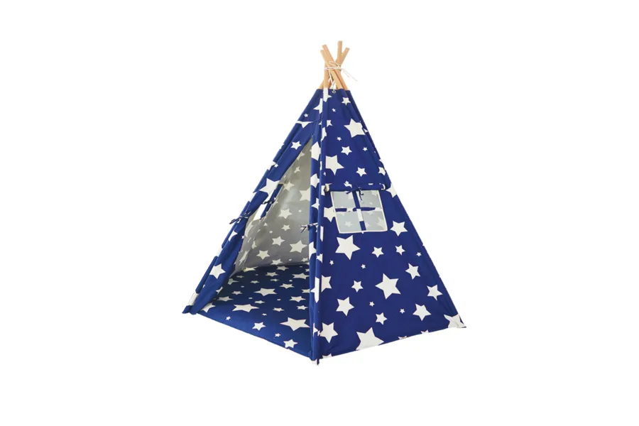 Cushion TENT001
